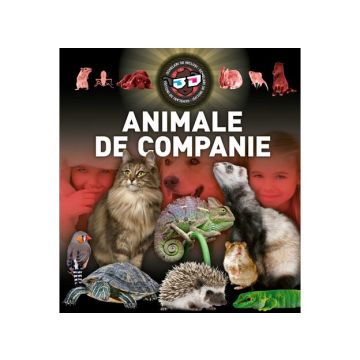 Animale de companie 3D (Kreativ)